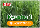 Kyushu 1