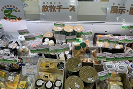 会場の様子 その1