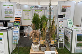 会場の様子 その1