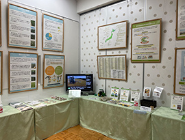 展示の様子 その1