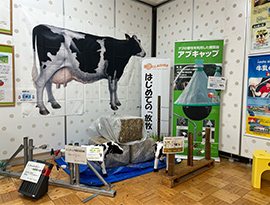 展示の様子 その2