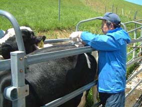 北海道|旭川市営牧場