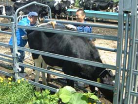 北海道|旭川市営牧場