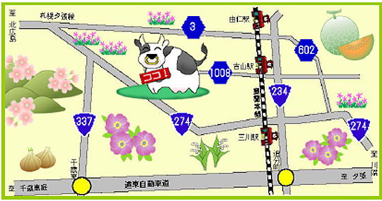 �n�C�W�q��