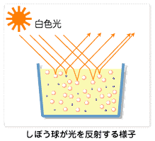 ڂ𔽎˂lq