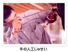 ̐lHス