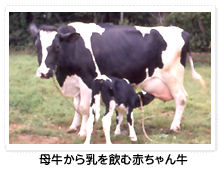 ꋍސԂ