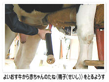 悢Ԃ̂ˁsq()tƂ悤