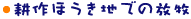 耕作ほうき地での放牧