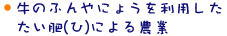 ̂ӂɂ傤𗘗p()ɂ_