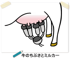 ���̂��Ԃ��ƃ~���J�[