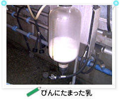 �т�ɂ��܂�����