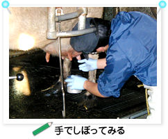 ��ł��ڂ��Ă݂�