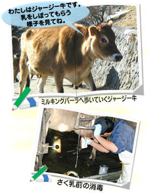 �~���L���O�p�[�����C���ʐ^