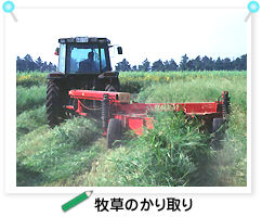 �q���̂�����