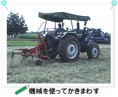 �@�B���g���Ă����܂킷