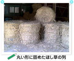 �ۂ��`�Ɍł߂��ق����̗�