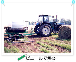 �r�j�[���ŕ��