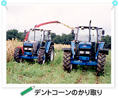 �f���g�R�[���̂�����