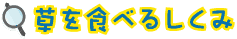 Hׂ邵