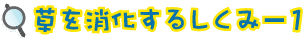 邵1