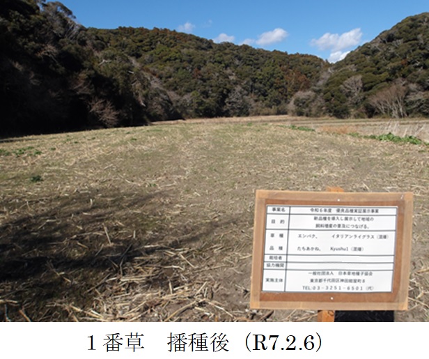 イタリアンライグラス+エンバク|Kyushu 1+たちあかね