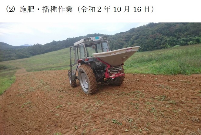 フェストロリウム|那系1号