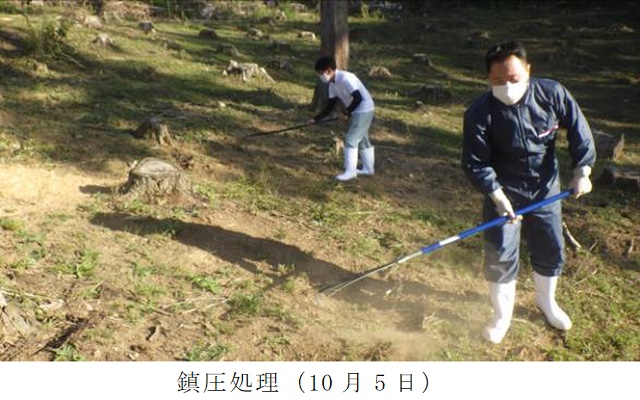 イタリアンライグラス|きららワセ