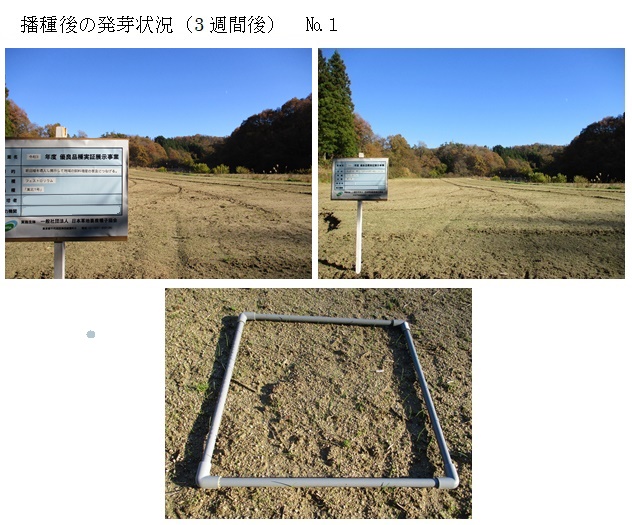 フェストロリウム|東北1号