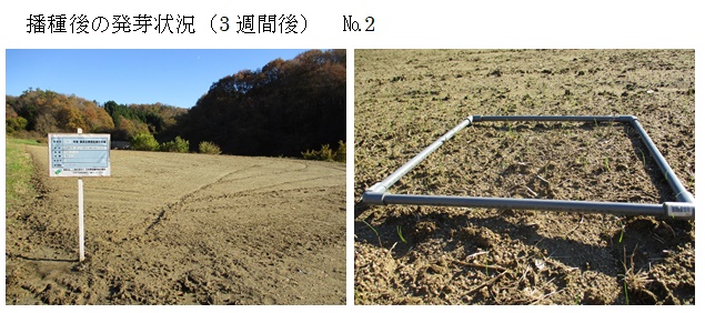 フェストロリウム|東北1号