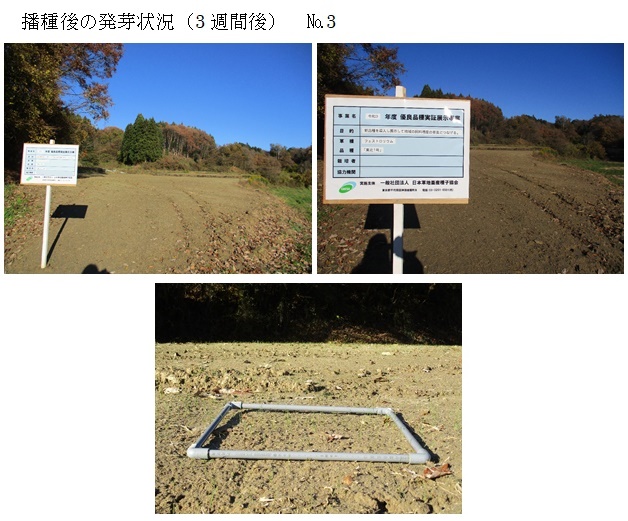 フェストロリウム|東北1号