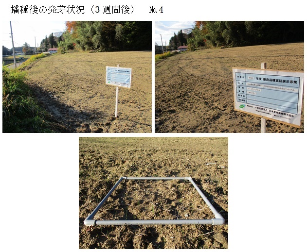 フェストロリウム|東北1号