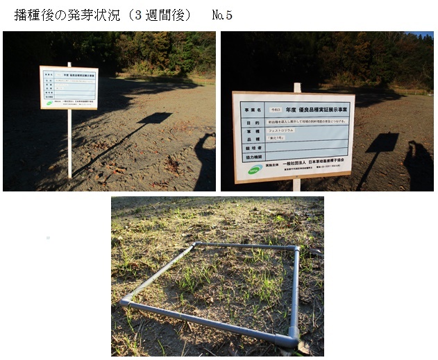 フェストロリウム|東北1号