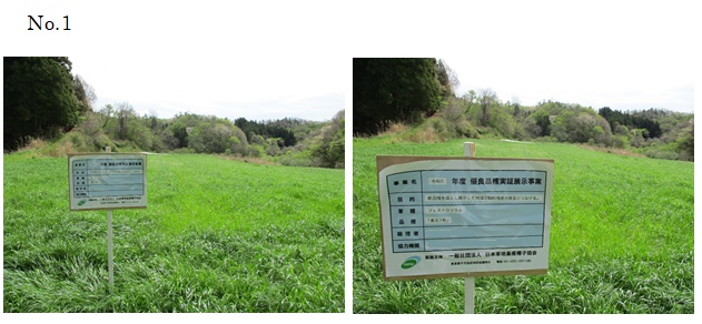 フェストロリウム|東北1号