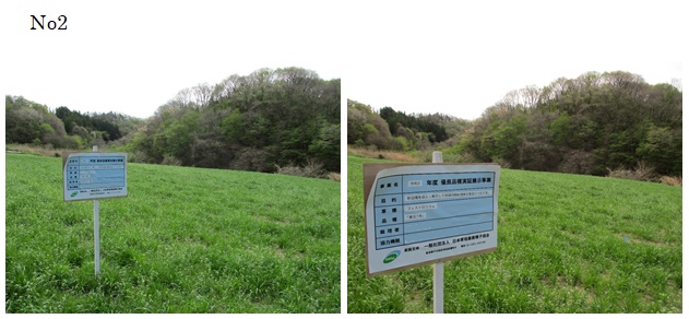 フェストロリウム|東北1号