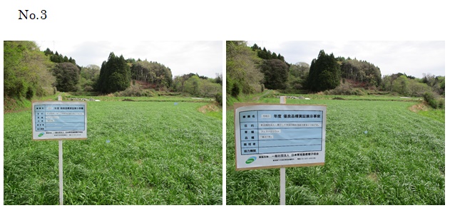 フェストロリウム|東北1号