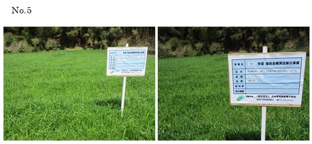 フェストロリウム|東北1号