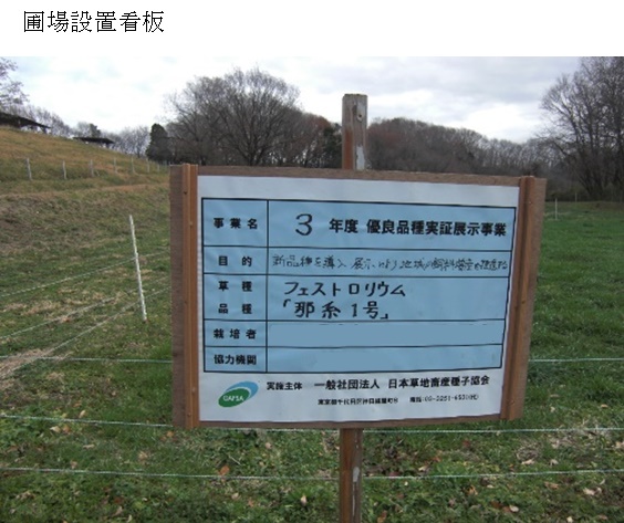 フェストロリウム|那系1号