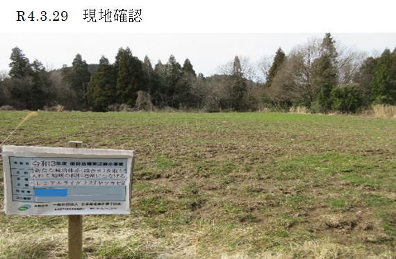 ペレニアルライグラス|ヤツカゼ2