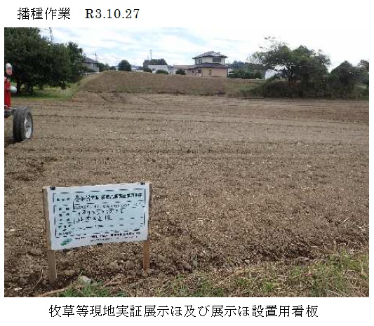 イタリアンライグラス|はやまき18