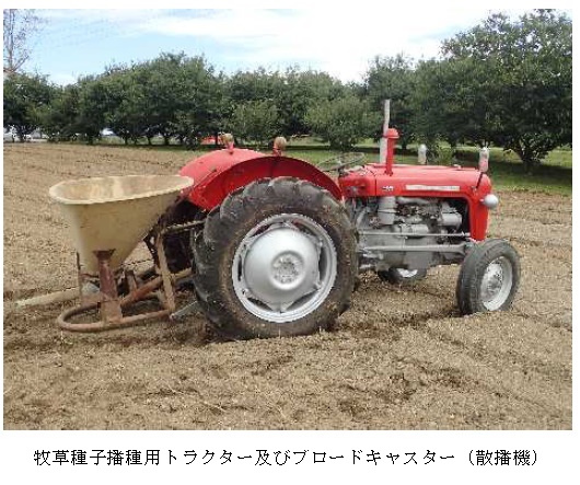 イタリアンライグラス|はやまき18