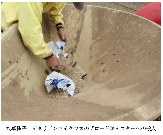 イタリアンライグラス|はやまき18