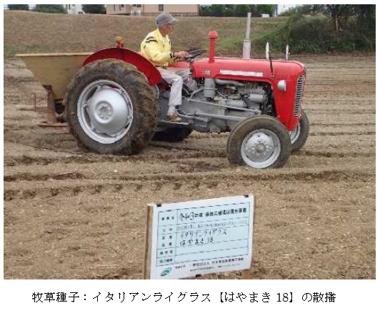 イタリアンライグラス|はやまき18