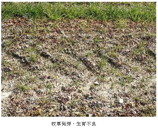 イタリアンライグラス|はやまき18