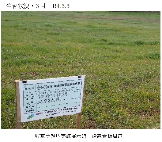 イタリアンライグラス|はやまき18