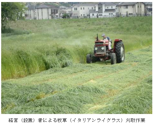 イタリアンライグラス|はやまき18