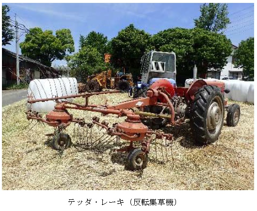 イタリアンライグラス|はやまき18