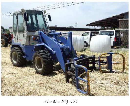 イタリアンライグラス|はやまき18