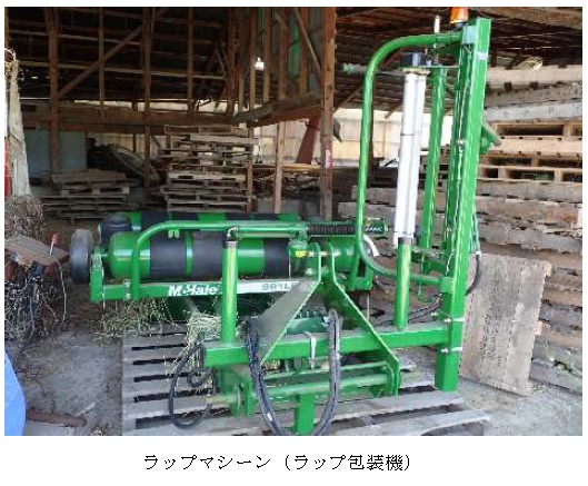 イタリアンライグラス|はやまき18