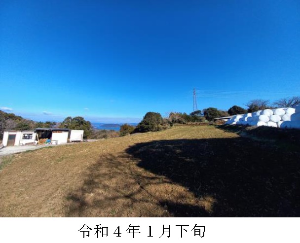 イタリアンライグラス|きららワセ